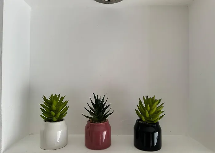 Apartment A Avec Piscine Et Terrasse Fréjus