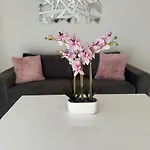 A Avec Piscine Et Terrasse *