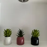 Апартаменты A Avec Piscine Et Terrasse Фрежюс